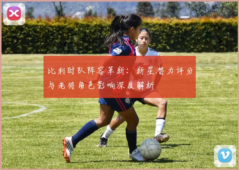 比利时队阵容革新：新星潜力评分与老将角色影响深度解析