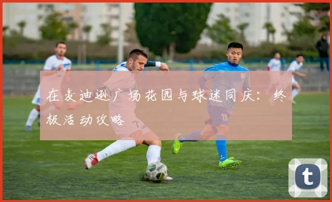 在麦迪逊广场花园与球迷同庆：终极活动攻略
