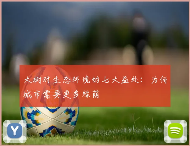 大树对生态环境的七大益处：为何城市需要更多绿荫
