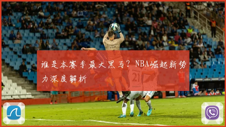 谁是本赛季最大黑马？NBA崛起新势力深度解析